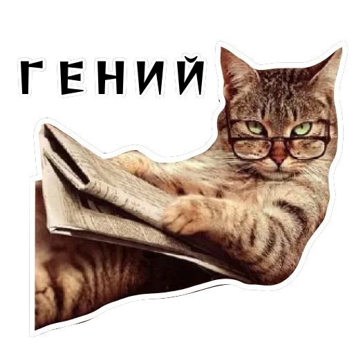 Колкие фразы — превью 4