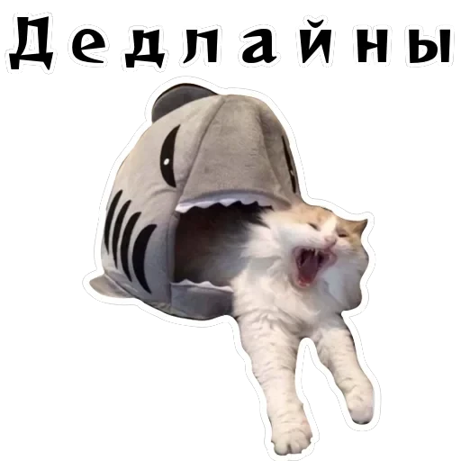 Колкие фразы — 31