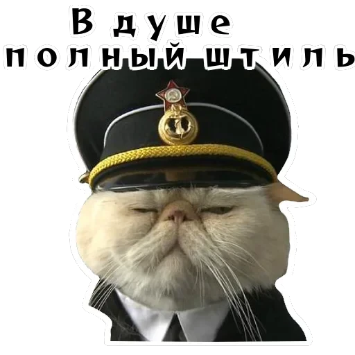 Колкие фразы — 32