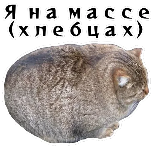 Колкие фразы — 34