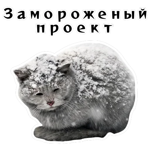 Колкие фразы — 35