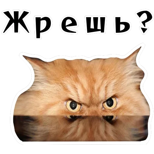 Колкие фразы — 39