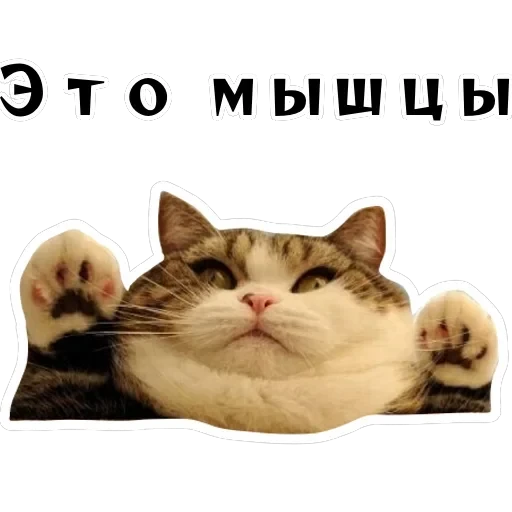 Колкие фразы — 40