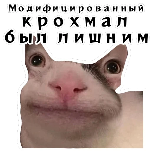 Колкие фразы — 45