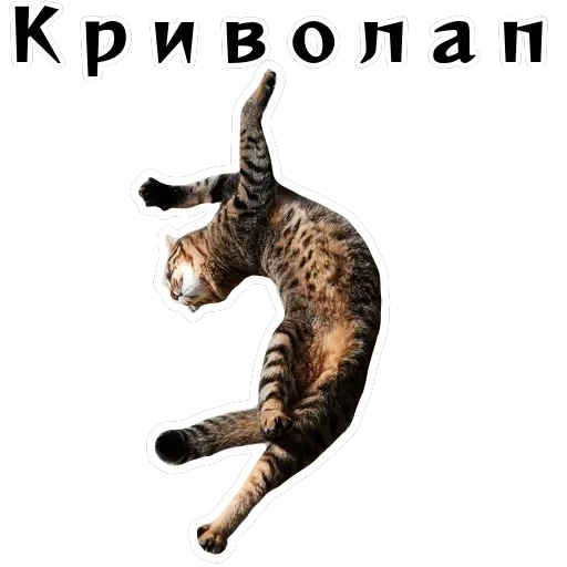 Колкие фразы — 46