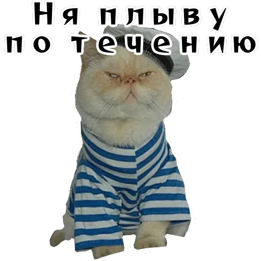 Колкие фразы — 48