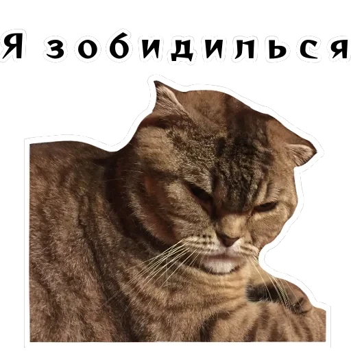 Колкие фразы — 49