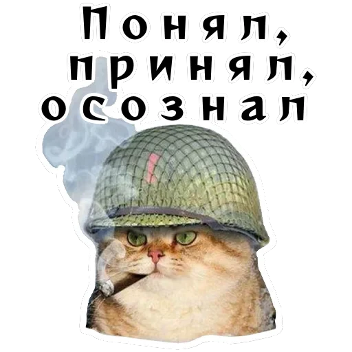 Колкие фразы — 50