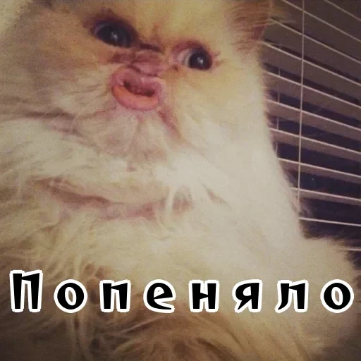 Колкие фразы — 51