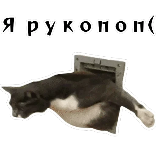 Колкие фразы — 53