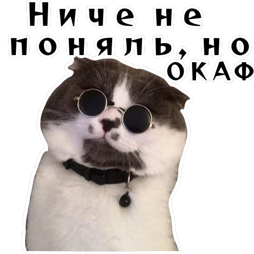 Колкие фразы — 56