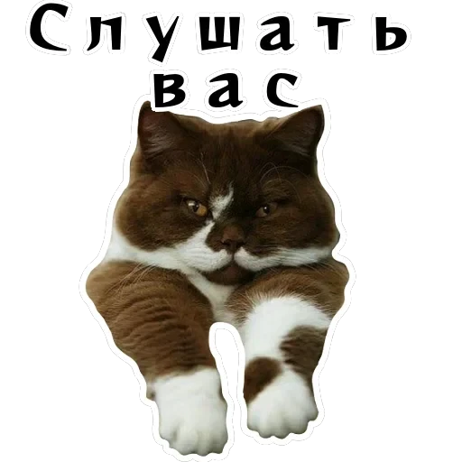 Колкие фразы — 57