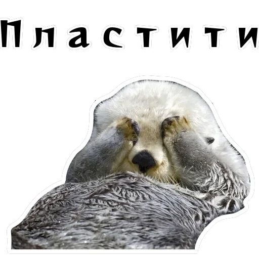 Колкие фразы — 58