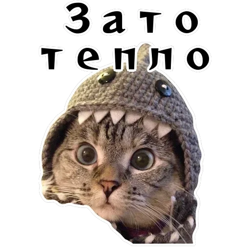 Колкие фразы — 60