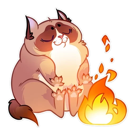 Кooky Сat — 24