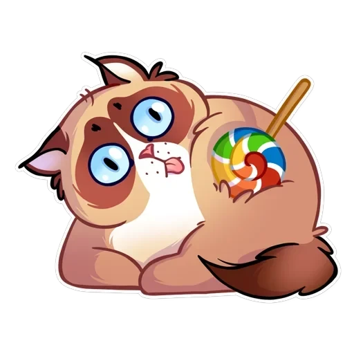 Кooky Сat — 30