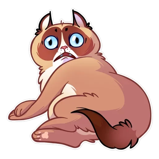 Кooky Сat — 4