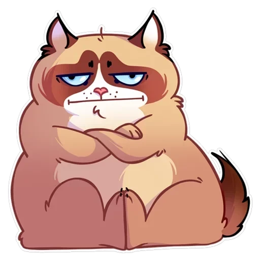 Кooky Сat — 10