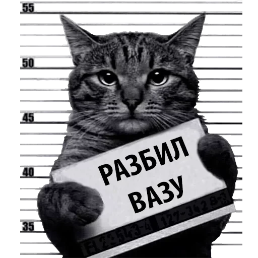 Кот Рецидивист — 3