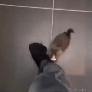 Котики #1 ️ — 21