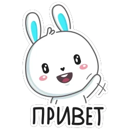 Кролик