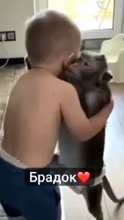 Крутые бибизяны — 27