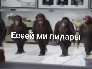 Крутые бибизяны — 4