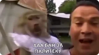 Крутые бибизяны — 34
