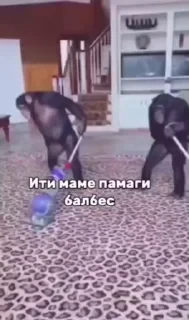 Крутые бибизяны — 36