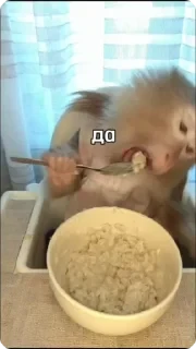 Крутые бибизяны — 5