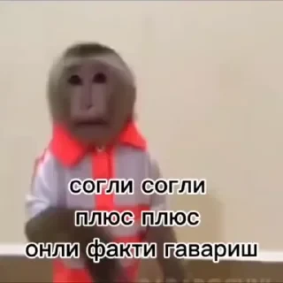 Крутые бибизяны — 10