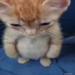 Кто такой СТИКЕРЫ 👇 @ok_sticker_bot — 11