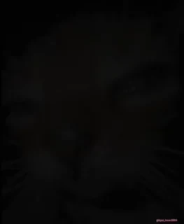 Кто такой СТИКЕРЫ 👇 @ok_sticker_bot — 12