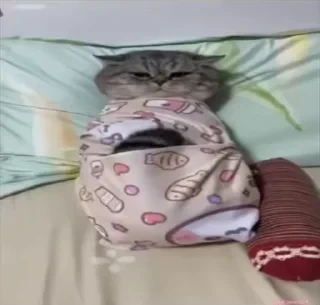 Кто такой СТИКЕРЫ 👇 @ok_sticker_bot — 17