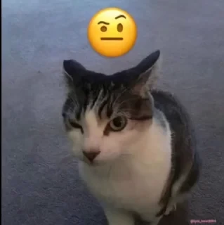 Кто такой СТИКЕРЫ 👇 @ok_sticker_bot — 21