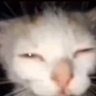Кто такой СТИКЕРЫ 👇 @ok_sticker_bot — 23