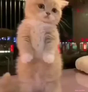 Кто такой СТИКЕРЫ 👇 @ok_sticker_bot — 27