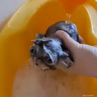 Кто такой СТИКЕРЫ 👇 @ok_sticker_bot — 28