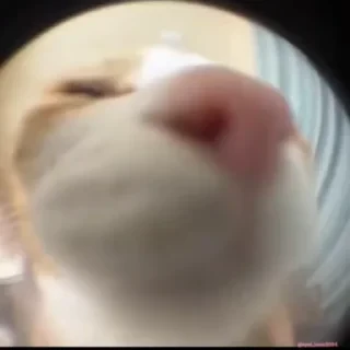 Кто такой СТИКЕРЫ 👇 @ok_sticker_bot — 30