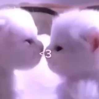 Кто такой СТИКЕРЫ 👇 @ok_sticker_bot — 4