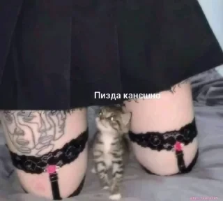 Кто такой СТИКЕРЫ 👇 @ok_sticker_bot — 32