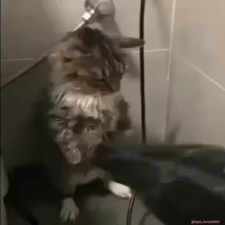 Кто такой СТИКЕРЫ 👇 @ok_sticker_bot — 33