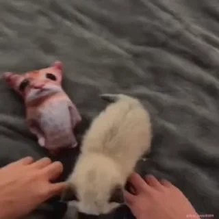 Кто такой СТИКЕРЫ 👇 @ok_sticker_bot — 40