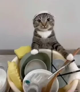 Кто такой СТИКЕРЫ 👇 @ok_sticker_bot — 42