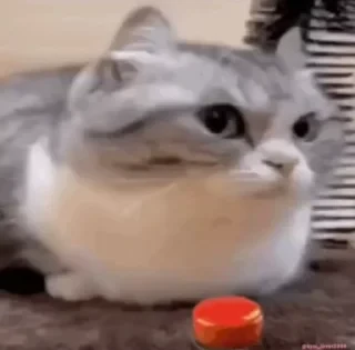 Кто такой СТИКЕРЫ 👇 @ok_sticker_bot — 45