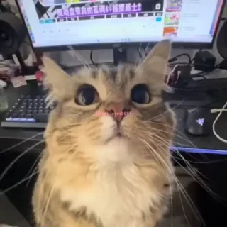 Кто такой СТИКЕРЫ 👇 @ok_sticker_bot — 47