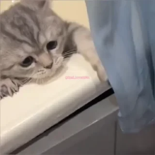 Кто такой СТИКЕРЫ 👇 @ok_sticker_bot — 48