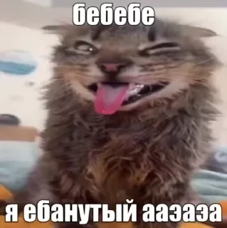 Кто такой СТИКЕРЫ 👇 @ok_sticker_bot — 6