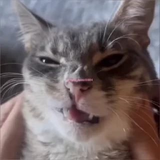 Кто такой СТИКЕРЫ 👇 @ok_sticker_bot — 54