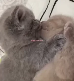 Кто такой СТИКЕРЫ 👇 @ok_sticker_bot — 56